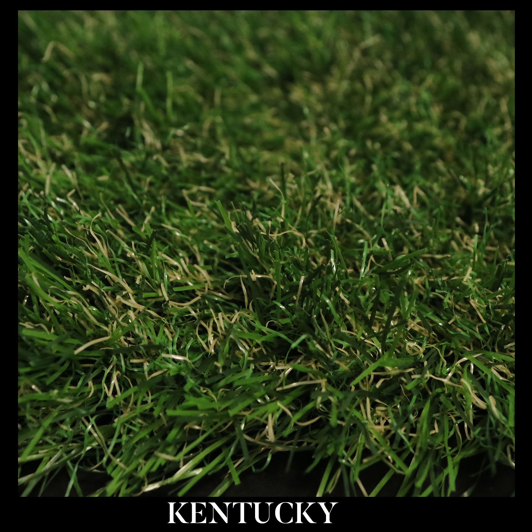 KENTUCKY